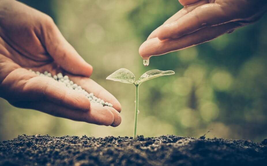 Meaningful Work Volunteer Program 2019